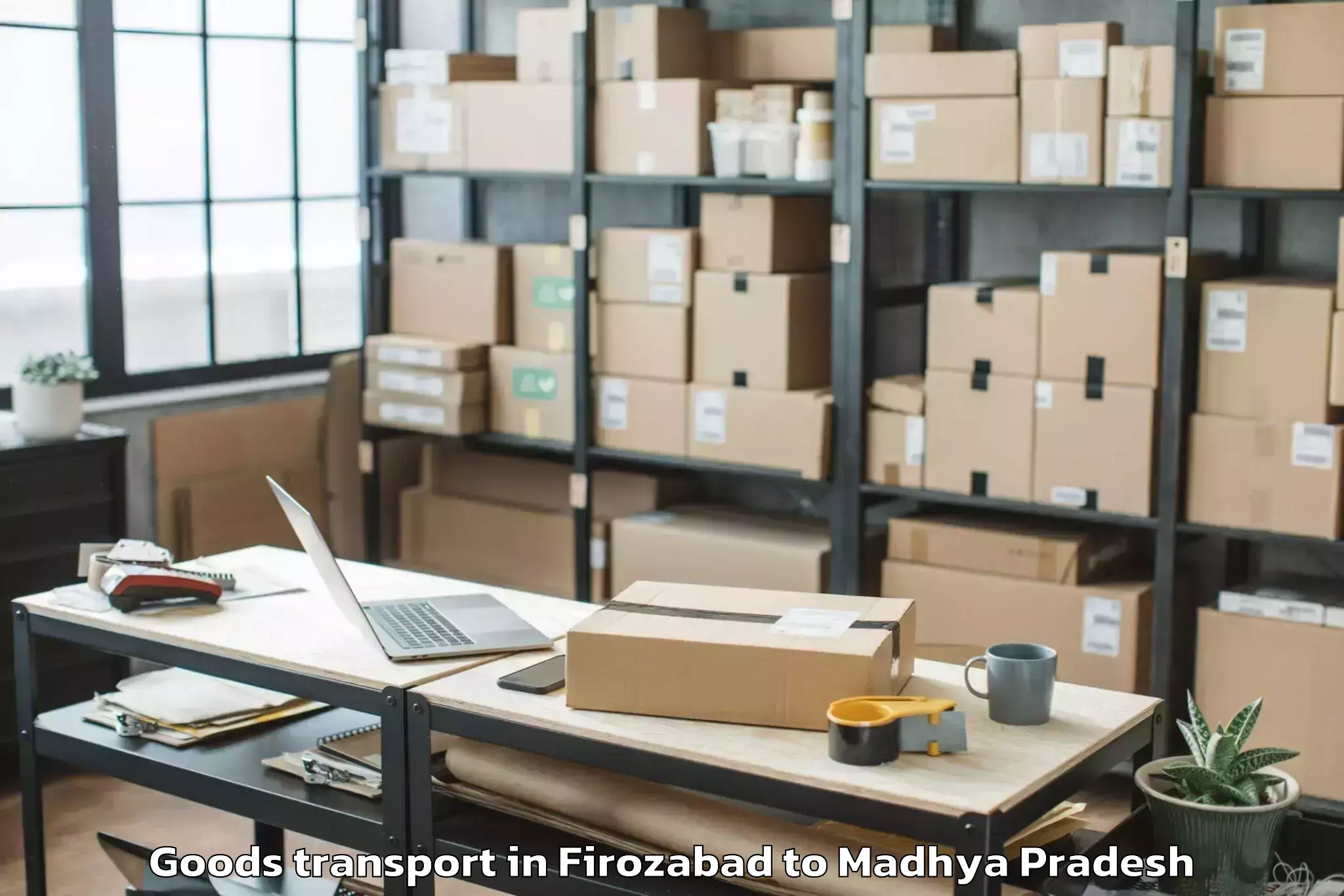 Reliable Firozabad to Kailaras Goods Transport